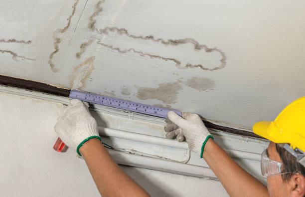 Reliable Mold Remediation contractor in Fredonia, KS by Water Damage Irwin